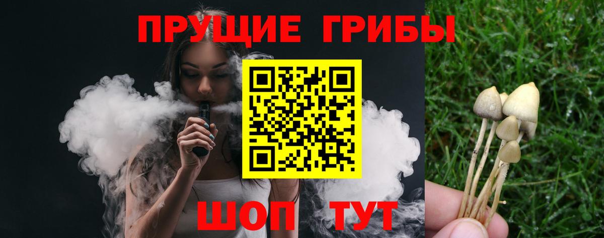 Партизанск  Галлюциногенные грибы мухоморы  Вход с VPN 